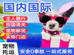 张家口航空物流国际宠物托运 【国